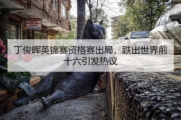 ding-jun-hui-ying-jin-sai-zi-ge-sai-chu-ju-die-chu-shi-jie-qian-shi-liu-yin-fa-re-yi-2-181.jpg