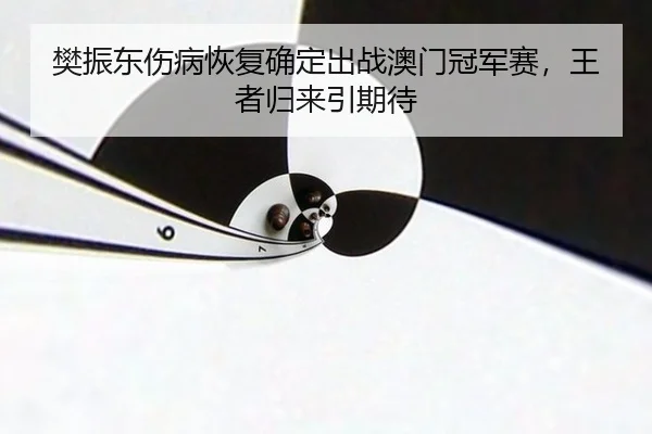 fan-zhen-dong-shang-bing-hui-fu-que-ding-chu-zhan-ao-men-guan-jun-sai-wang-zhe-gui-lai-yin-qi-dai-2-643.jpg