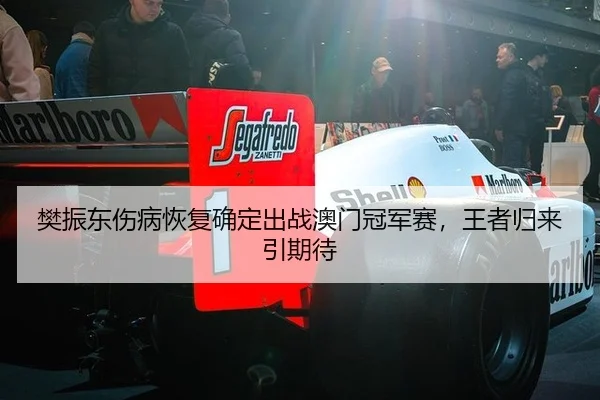 fan-zhen-dong-shang-bing-hui-fu-que-ding-chu-zhan-ao-men-guan-jun-sai-wang-zhe-gui-lai-yin-qi-dai-3-410.jpg