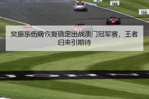 樊振东伤病恢复确定出战澳门冠军赛，王者归来引期待