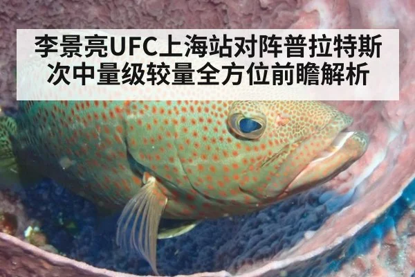 李景亮UFC上海站对阵普拉特斯次中量级较量全方位前瞻解析